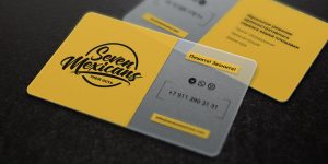 Translucent-plastic-business-cards-(3)